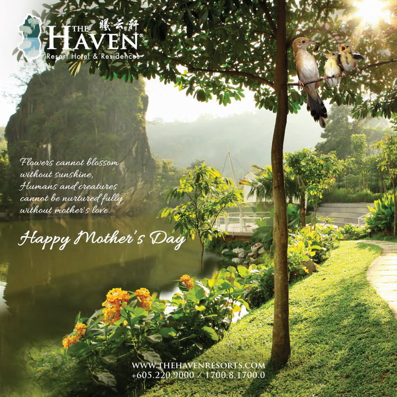 The Haven wishes all mothers Happy Mother's Day