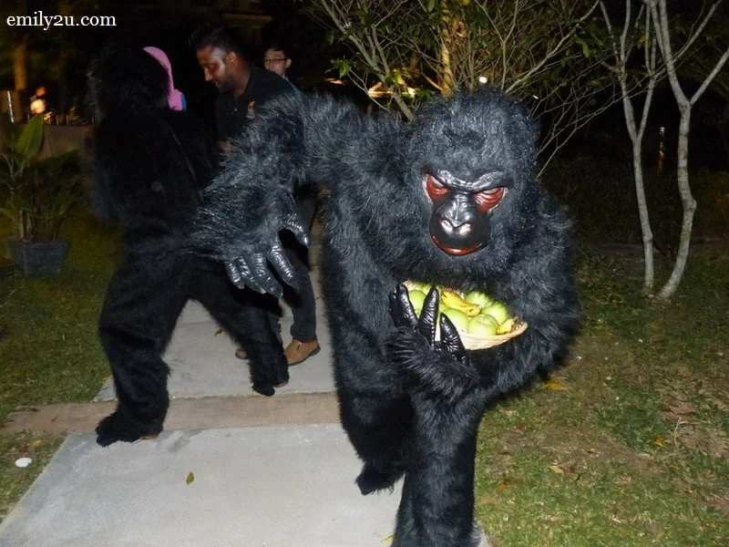 9. a couple of gorillas from 'Africa' makes an appearance to the delight of guests