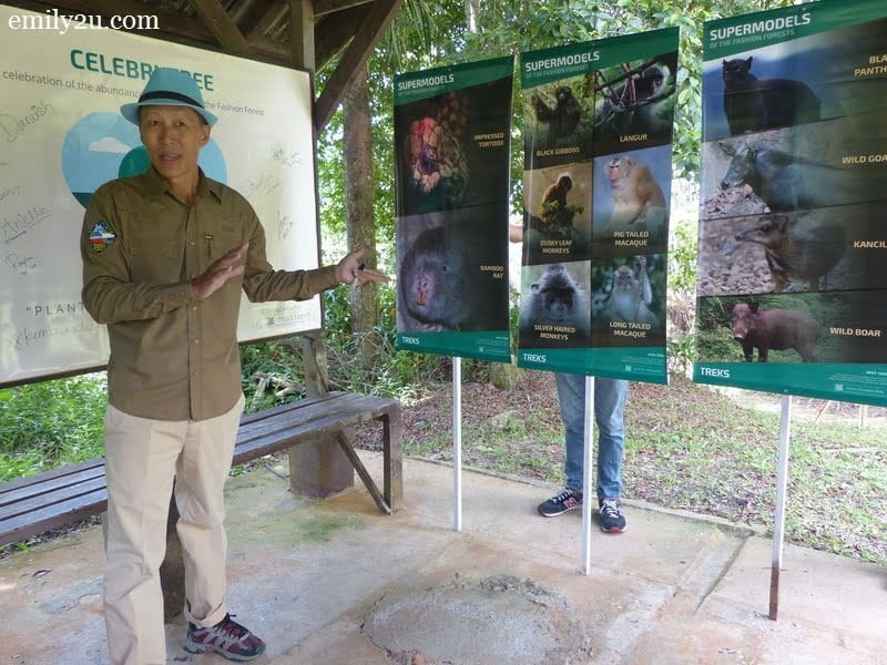 1. our guide Eddie Chan gives a briefing on the supermodels of the forest that we may encounter