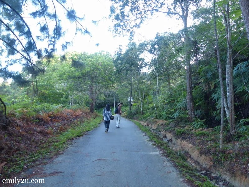 1. Malaysian Nature Society (MNS) President Henry Goh leads the way in search of birds