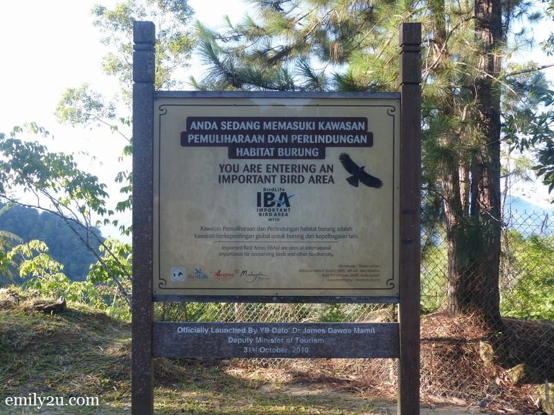 2. an Important Bird Area (IBA) - one of the only 55 in Malaysia