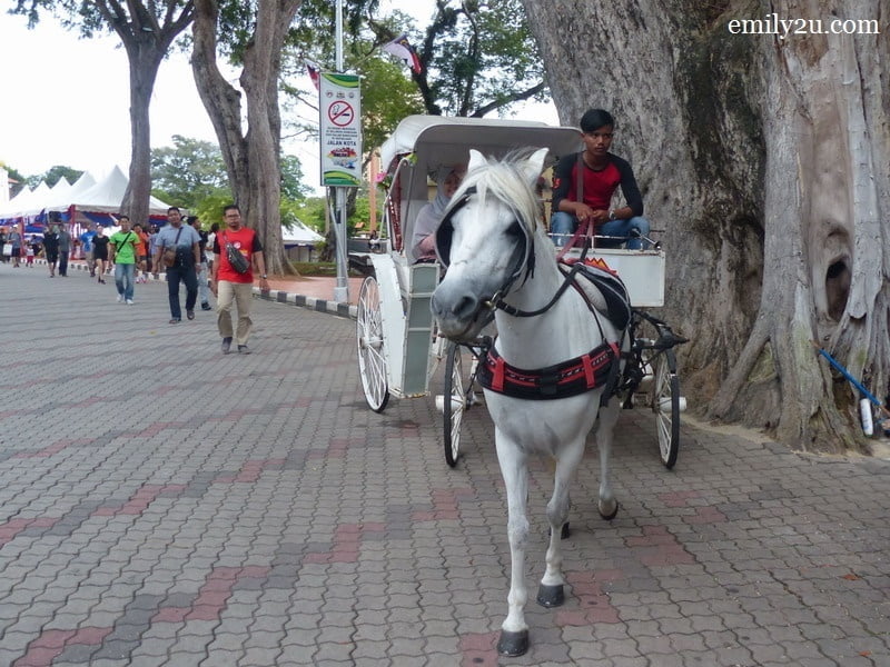 10. horse carriage rides are one of the attractions in the area