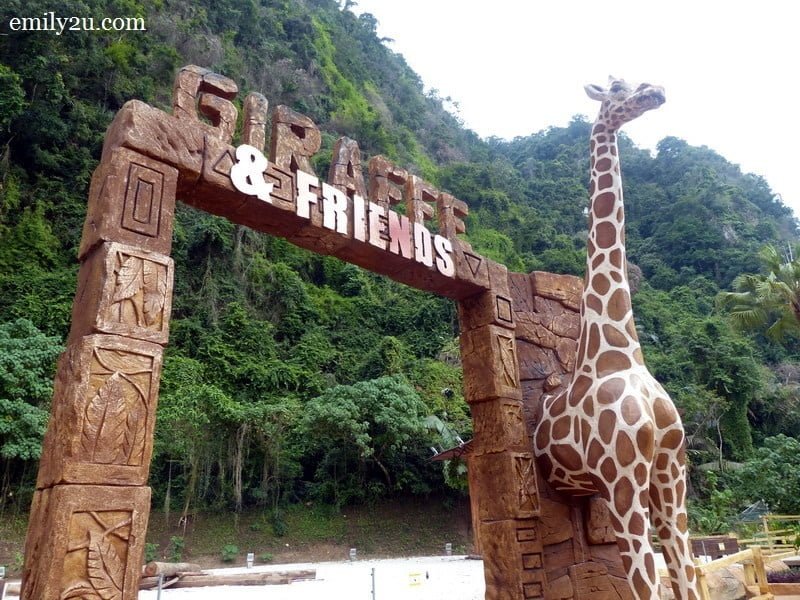 6.  Giraffe & Friends