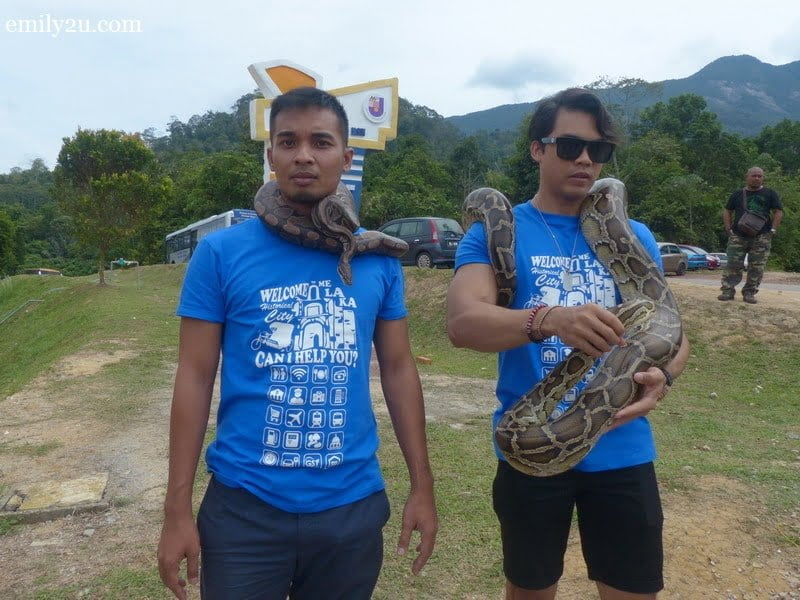2. Syed Ali (L) & Pojie (R) take the opportunity to handle snakes