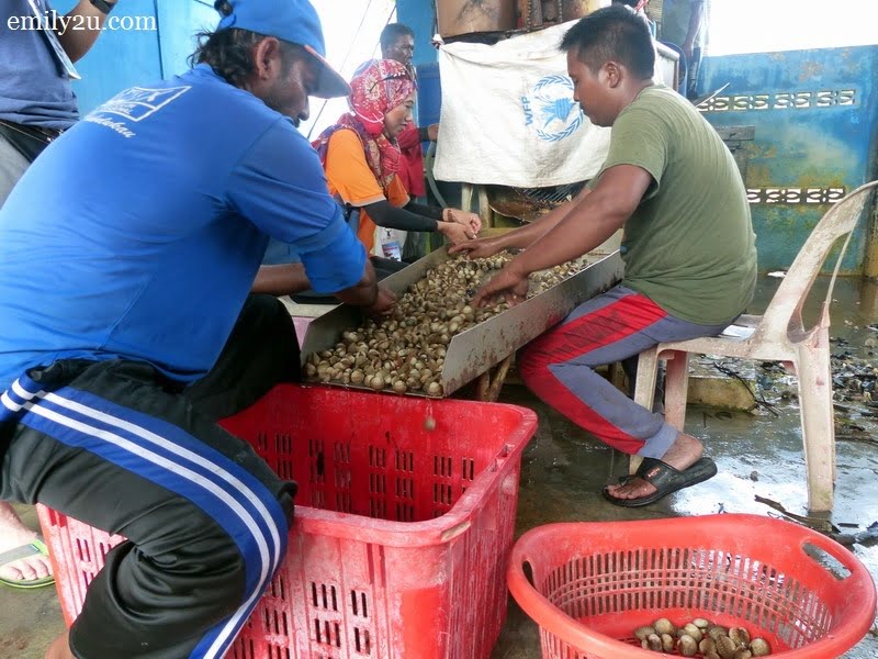 13. cockles being sorted out