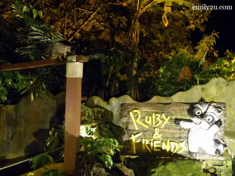 3. raccoon at Ruby & Friends