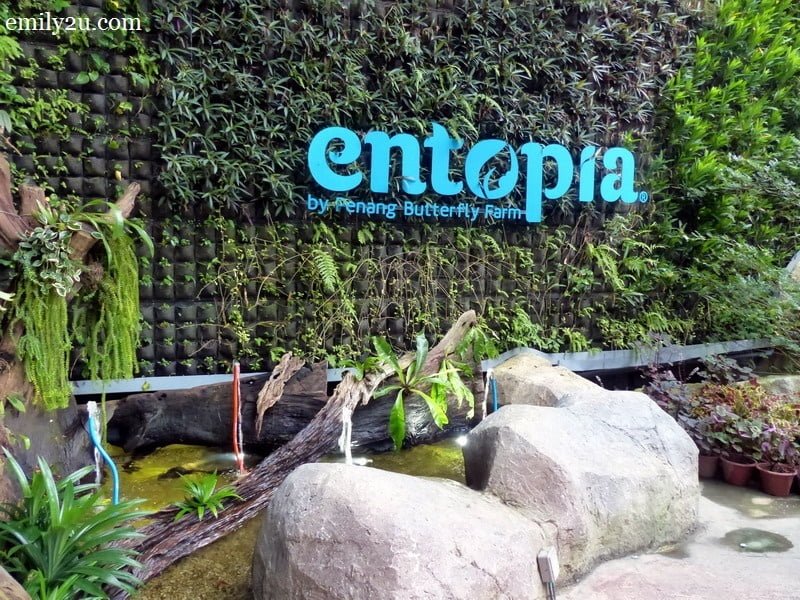 2. Entopia by Penang Butterfly Farm