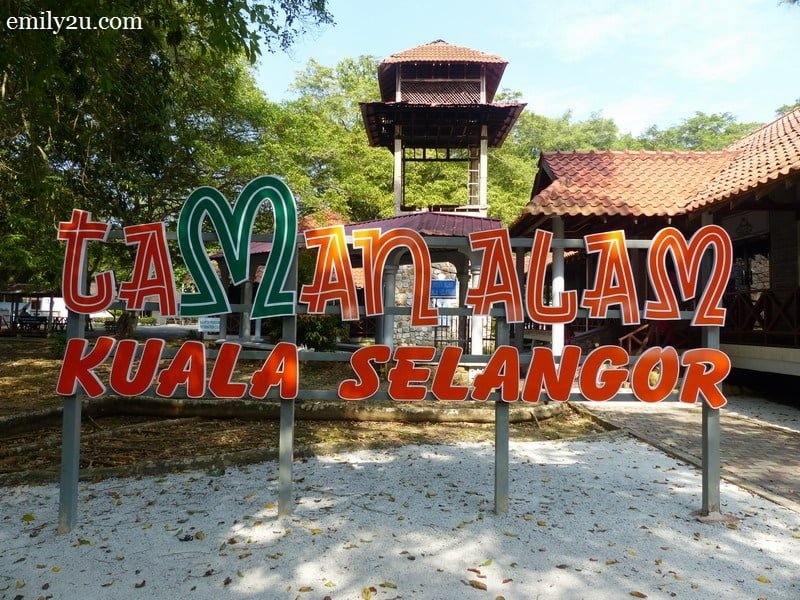 2. Kuala Selangor Nature Park (Taman Alam)
