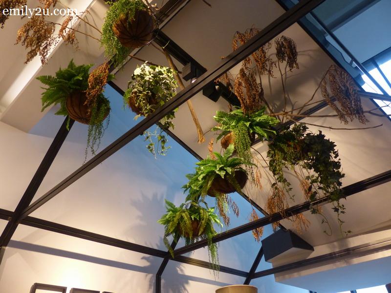 4. the hanging plants