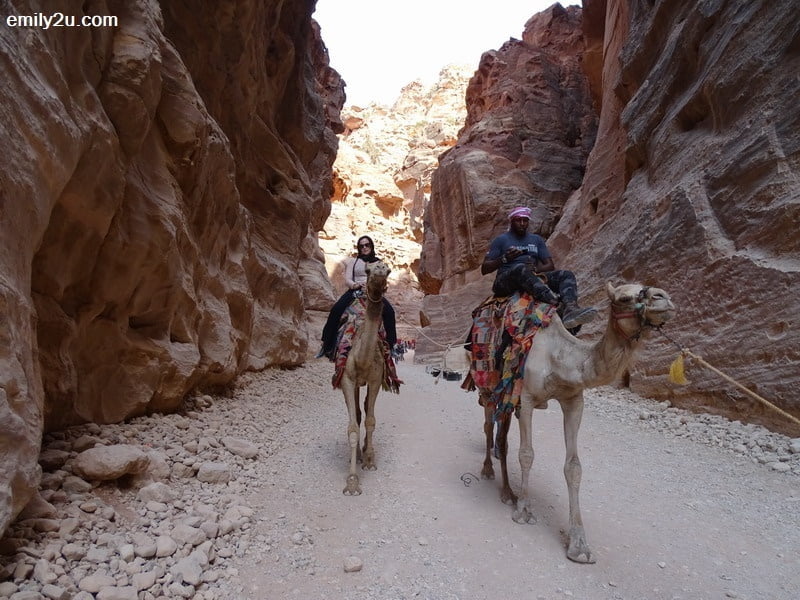25. camel rides