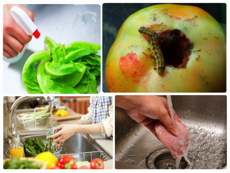 the importance of food cleaning process