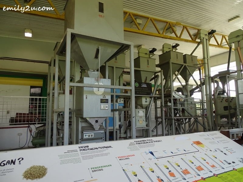 20. processing of rice
