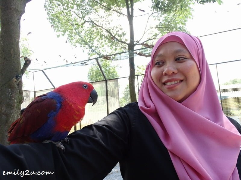 26. photo shooting with parrot