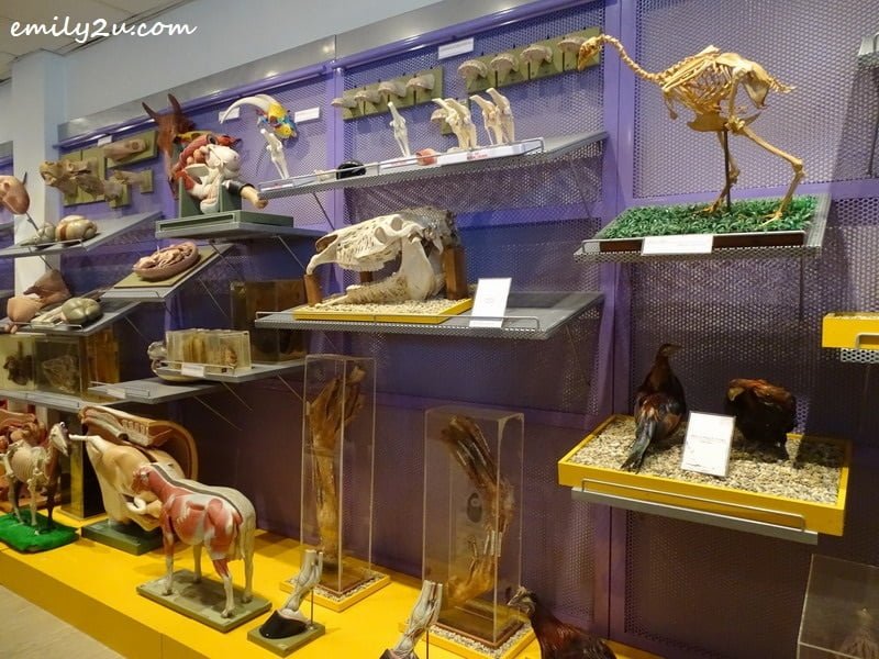 5. some of the exhibits