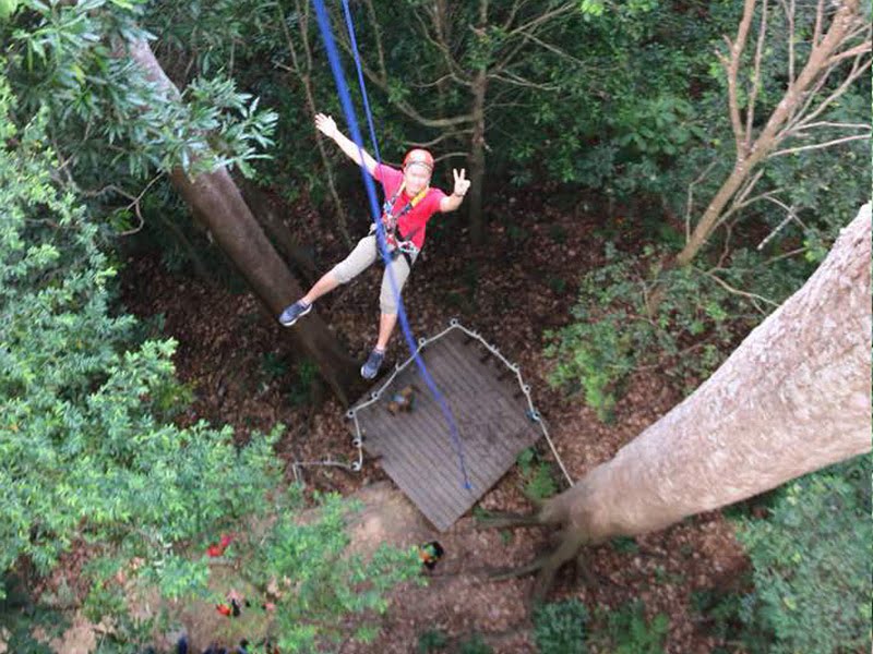  10. the treetop adventure ends with the Great Abseil (photo credit: Angeline Ong)
