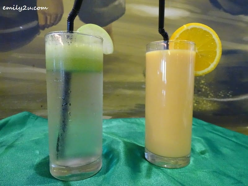 18. Apple Lemon Juice (L) & Orange Juice (R)