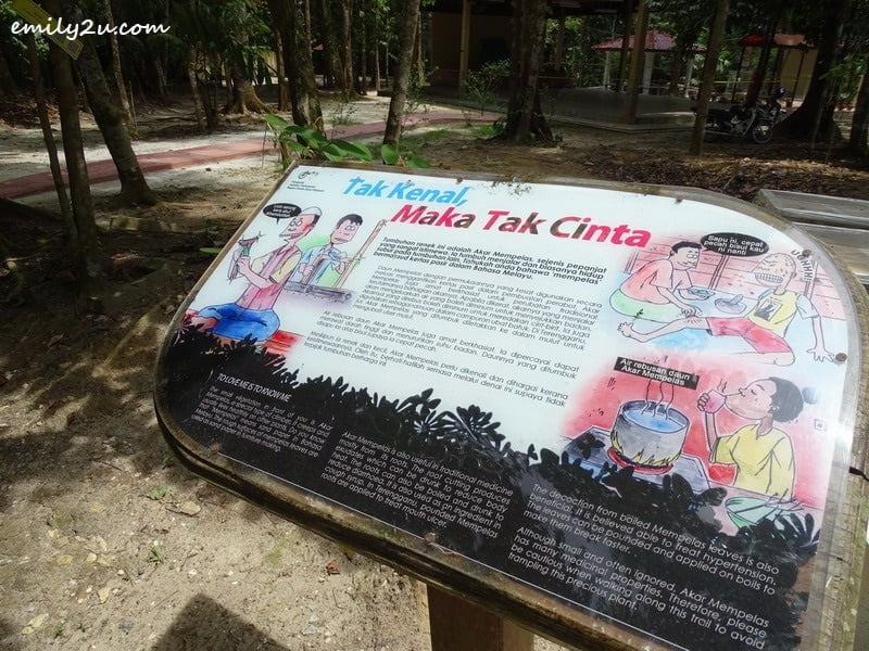  5. plant information board is presented in dual language, cartoon style