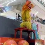 1 northern lion dance