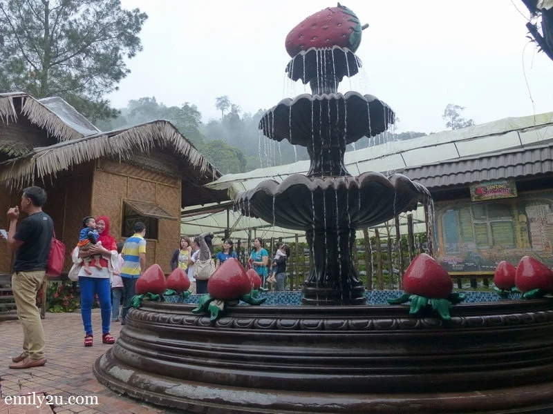 2. fountain at Genting Strawberry Leisure Farm