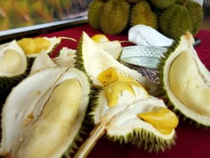 durian extravaganza
