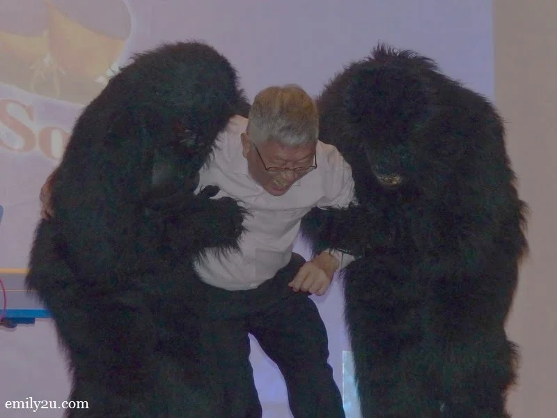 22. Mr. Peter Chan was about to be abducted by two gorillas 