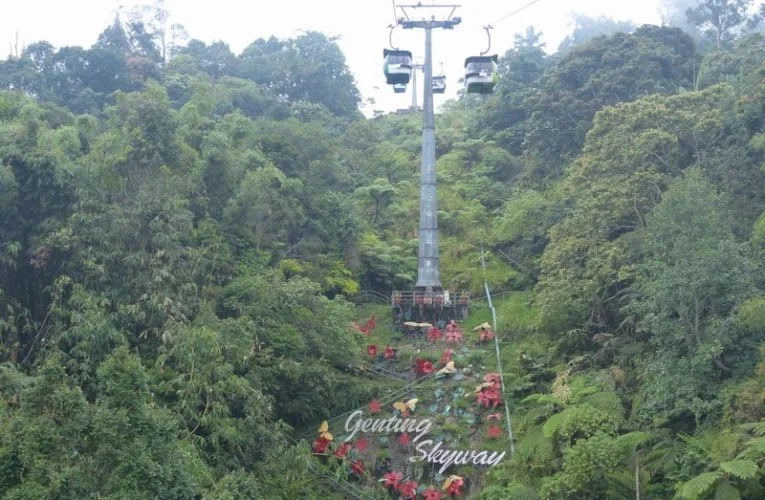 Express Coach to Genting Highlands or Cameron Highlands from Ipoh (Terminal Amanjaya)