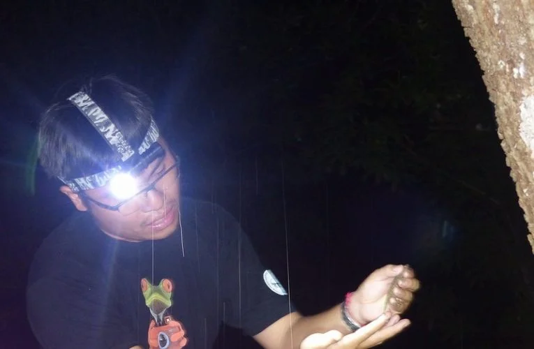 Night Herping in Awana Garden, Genting Highlands
