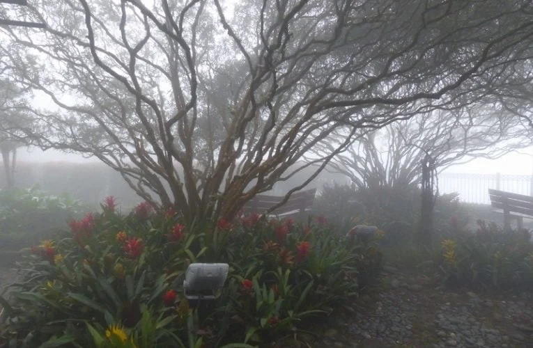 Taking the Genting Skyway Cable Car to English Garden