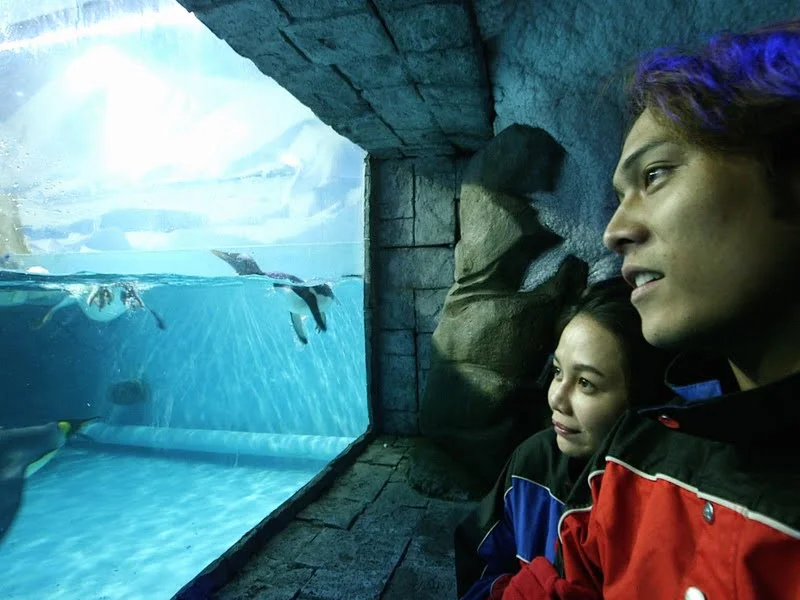 4. Dubai Aquarium and Underwater Zoo