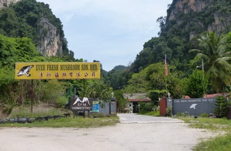 EFM Nature Homestay – Mini Rest House in Gunung Rapat, Ipoh