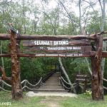Kg. Sijangkang Mangrove Recreational Park, Selangor