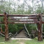 Kg. Sijangkang Mangrove Recreational Park, Selangor Taman Rekreasi Paya Bakau Kg Sijangkang