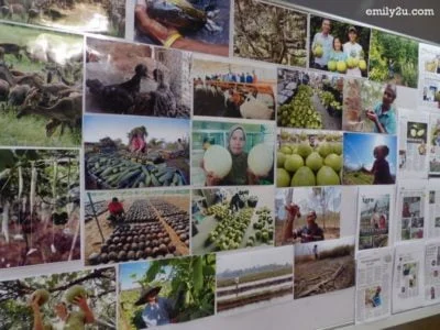 15. some of the images entered in the photography contest