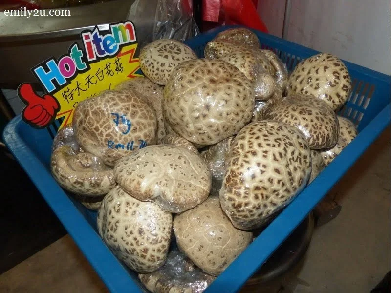 13. palm-size mushrooms