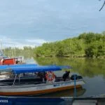 1 Kuala Sungai Buloh