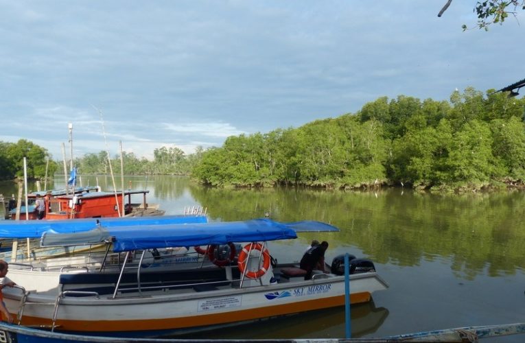 Mangrove River Cruise + Sky Mirror @ Kuala Sungai Buloh (Sasaran)
