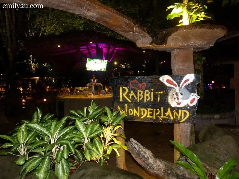 1. to Rabbit Wonderland