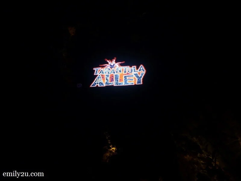 10. Tarantula Alley