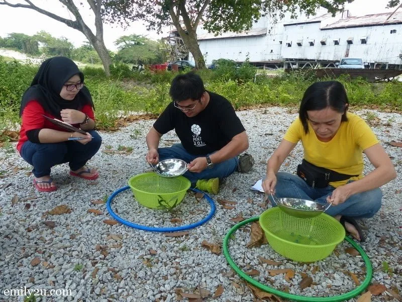 11. Phil and his wife, Ann, pan marbles, a challenge at Tanjung Tualang Tin Dredge #5