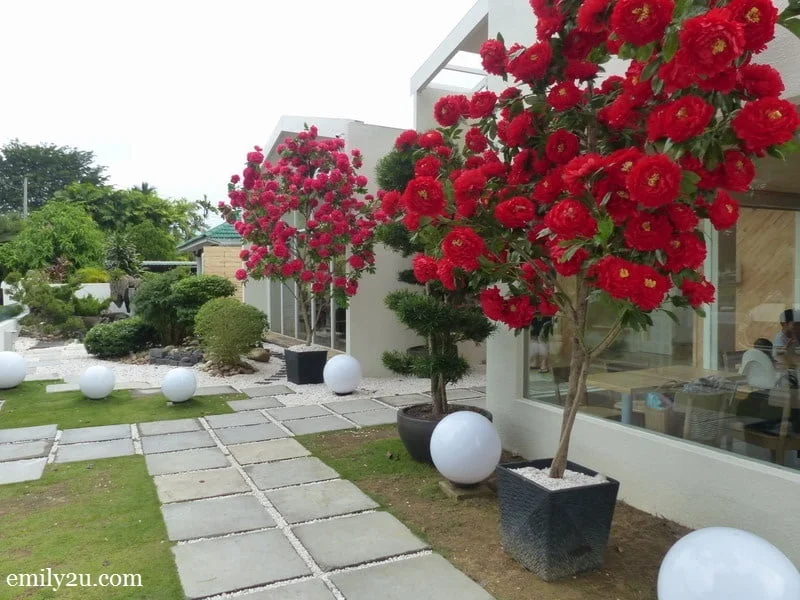 12. Chinese New Year decoration
