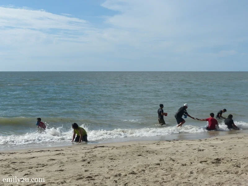 18. hunters collecting remis, a clam species