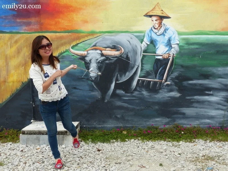 2. Emily Tang, the paddy farmer