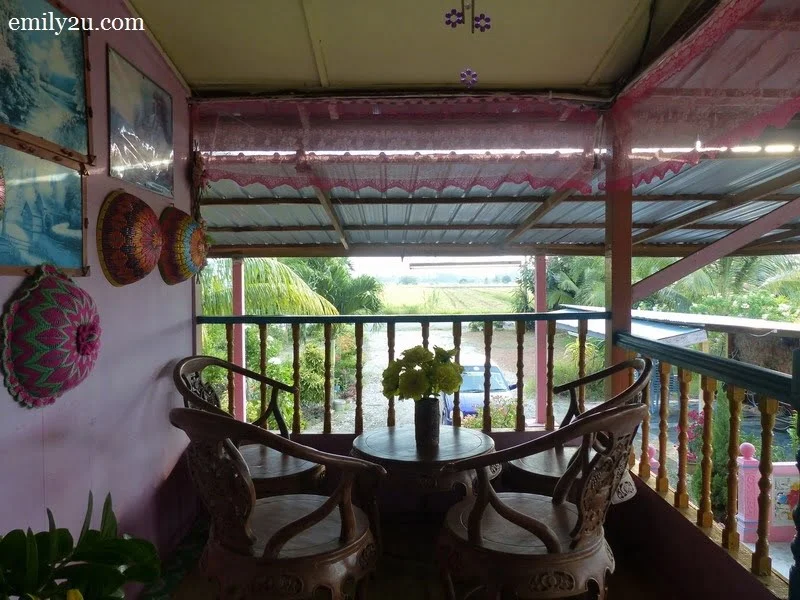 3. view from the veranda