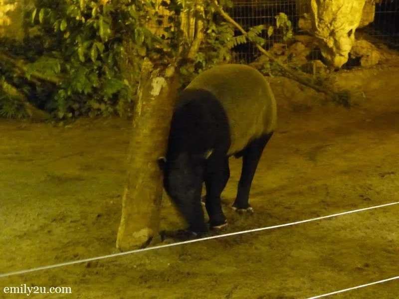 5. an itchy tapir