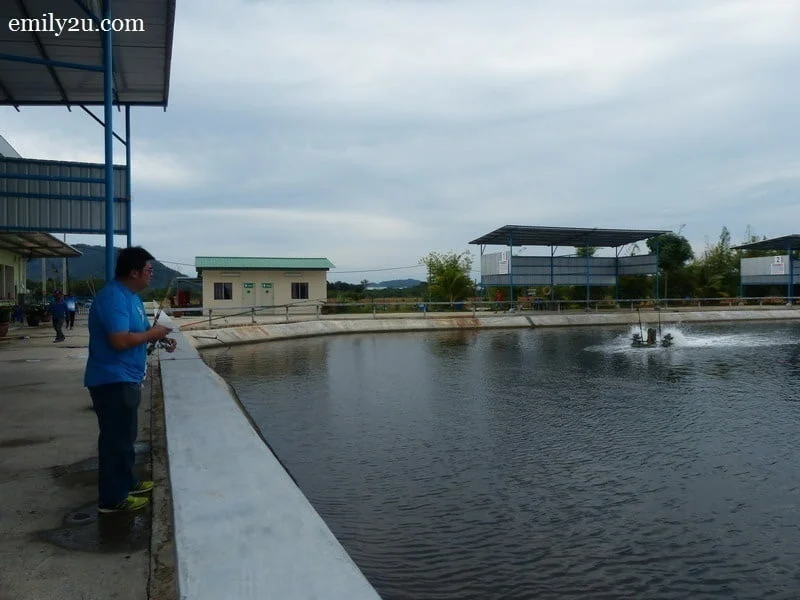 6. fishing challenge at Meranti Fishing Farm in Sitiawan