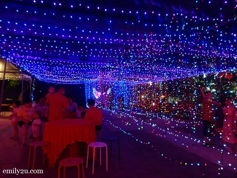 8. curtains of lights