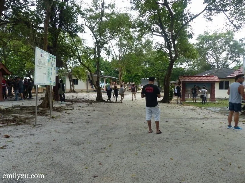 9. hunters search for answers at Segari Turtle Sanctuary