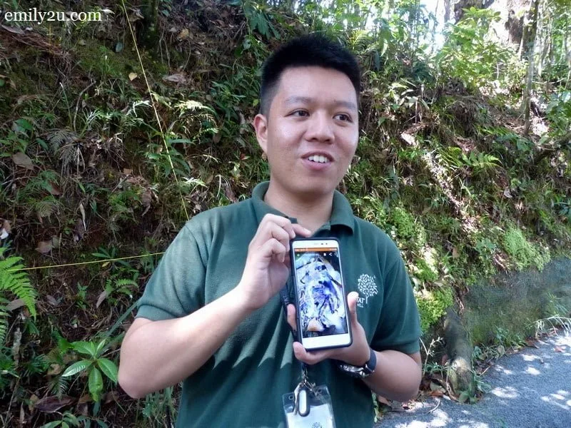13. our guide holds a photo of a tarantula on his phone, discovered at The Habitat