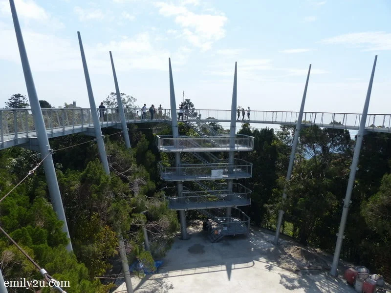 2. Curtis Crest Tree Top Walk