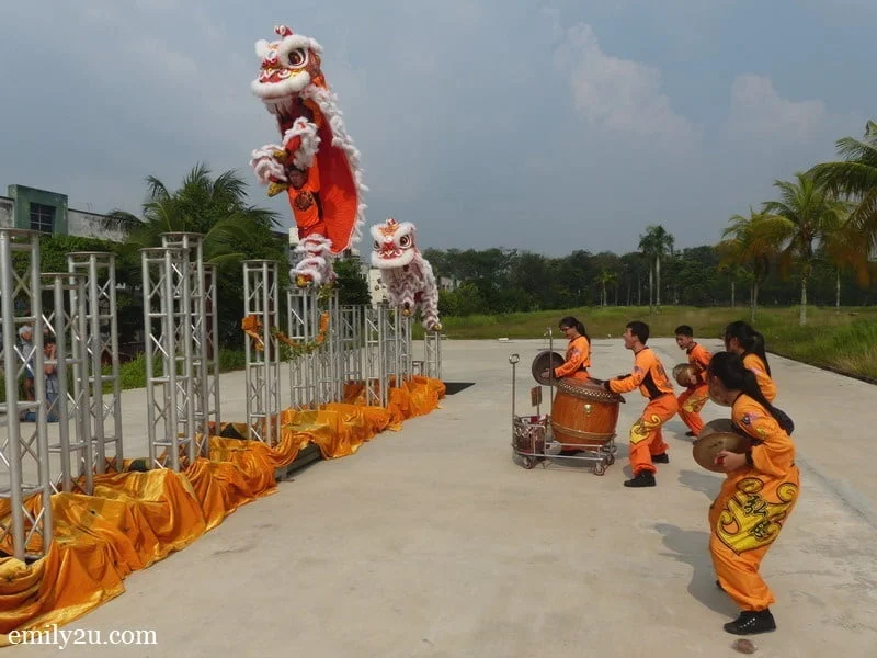 12. lion dance performers under Master Siow Ho Phiew's tutelage